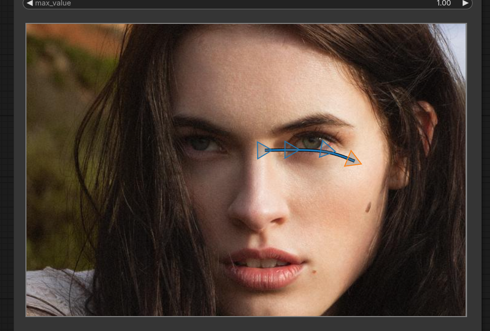 portait with spline overlay