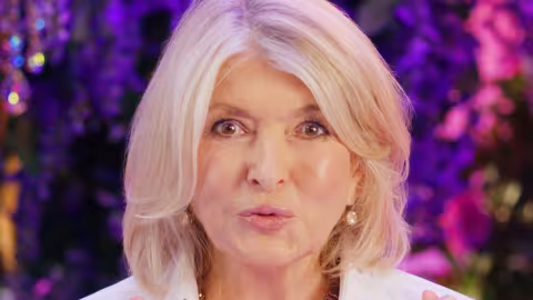 Maybelline Ad with Martha Stewart